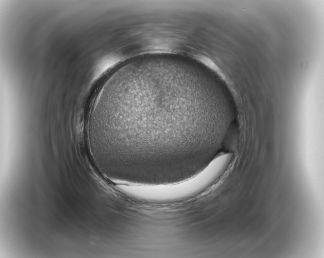 X0000084541450200703161618