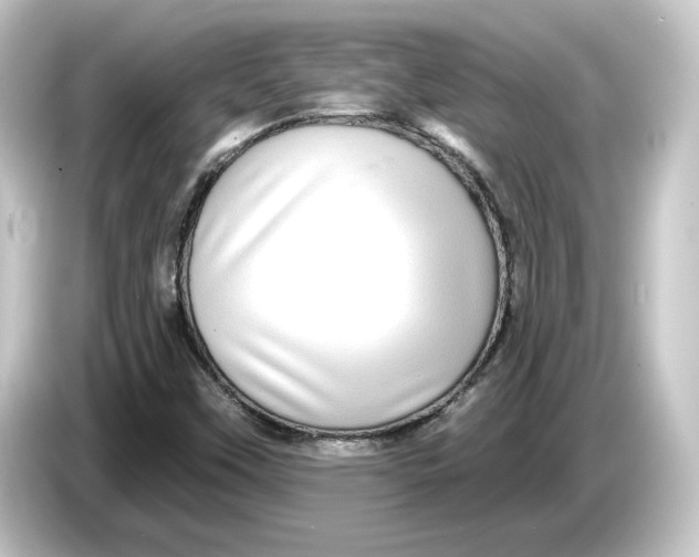 X0000084541451200703161618