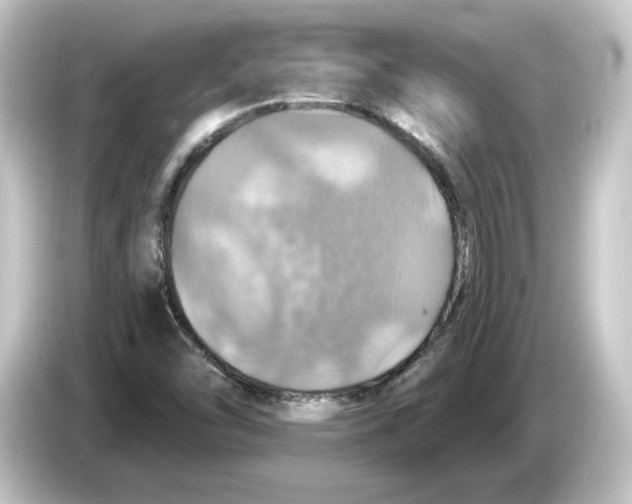 X0000084541454200703161618