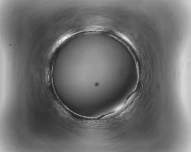 X0000084541455200703161618