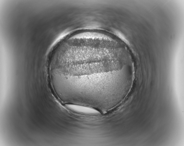 X0000084541456200703161618