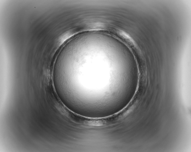 X0000084541457200703161618