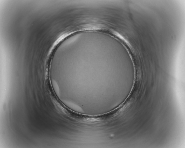 X0000084541459200703161618