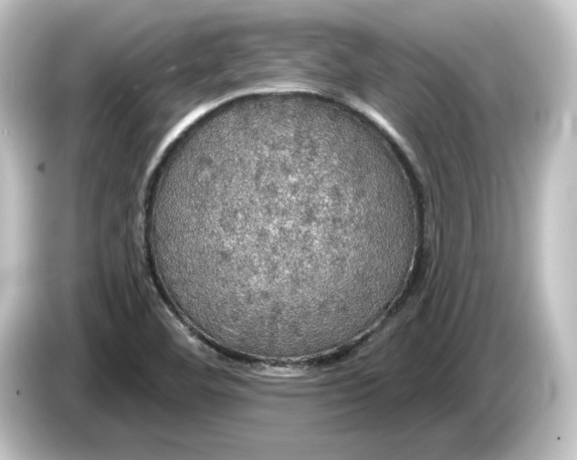 X0000084541460200703161618