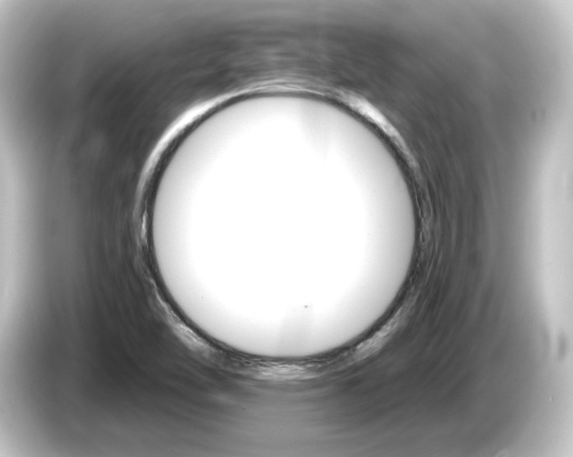 X0000084541462200703161618