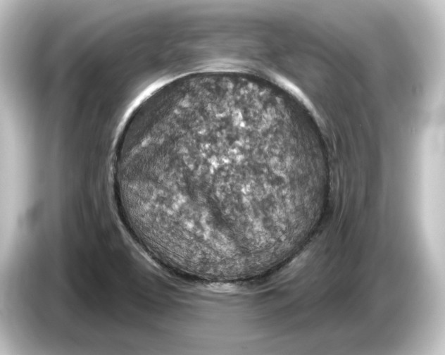 X0000084541463200703161618