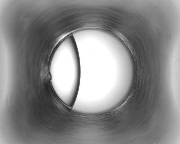 X0000084541465200703161618