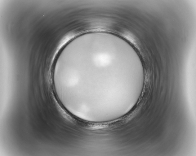 X0000084541466200703161618