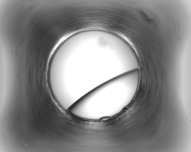 X0000084541469200703161618