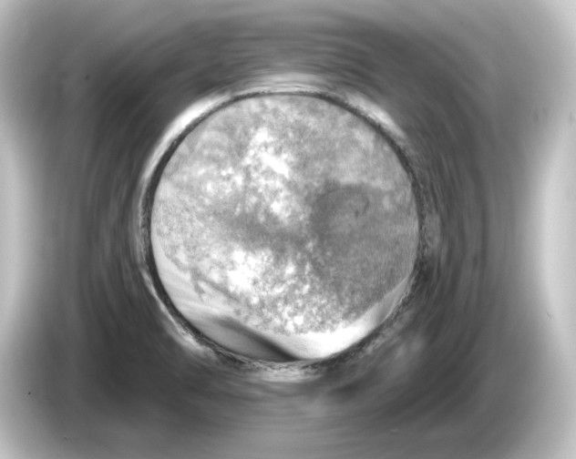 X0000084541470200703161618