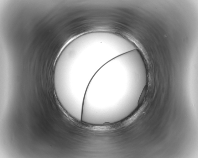 X0000084541473200703161618