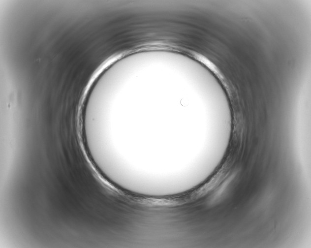 X0000084541474200703161618