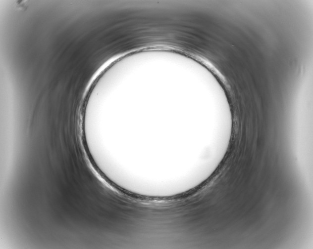 X0000084541476200703161618