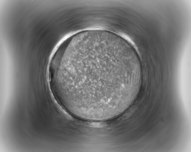 X0000084541480200703161618