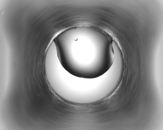 X0000084541481200703161618