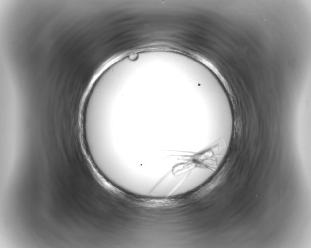 X0000084541482200703161618