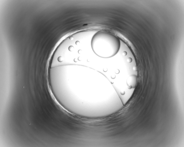 X0000084541483200703161618