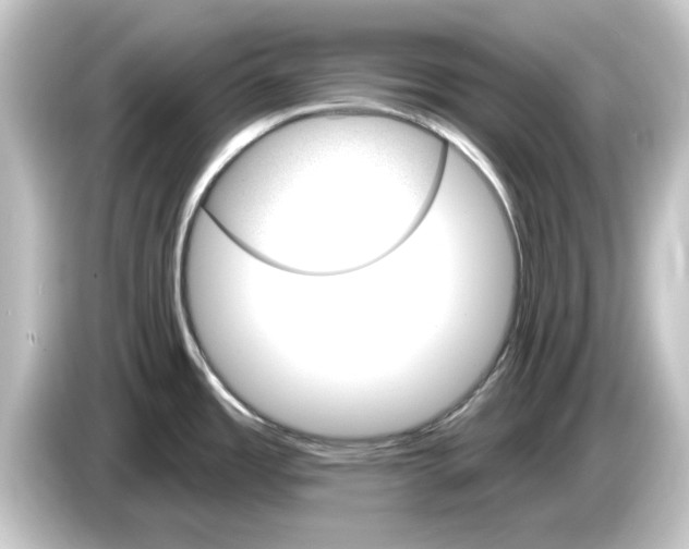 X0000084541485200703161618