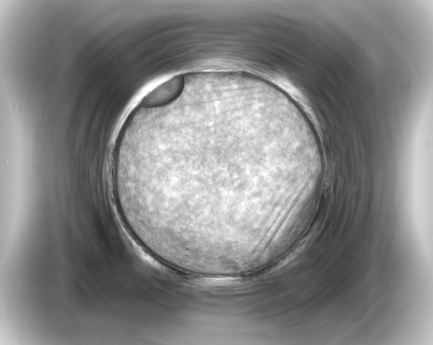 X0000084541486200703161618