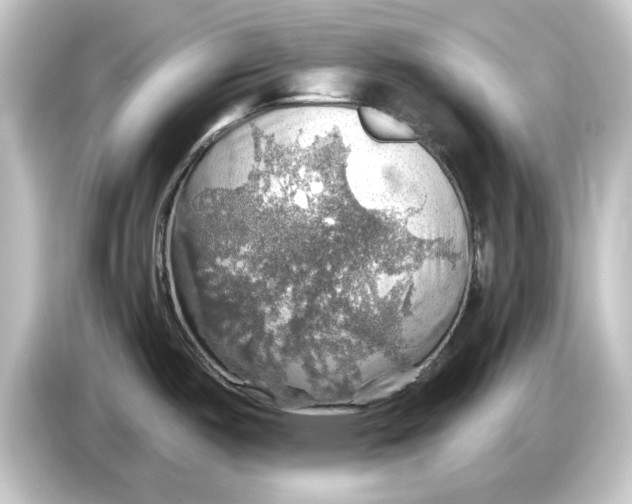 X0000084541487200703161618