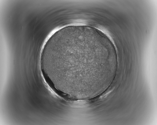 X0000084541488200703161618