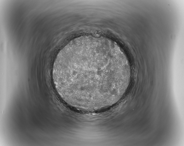 X0000084541489200703161617