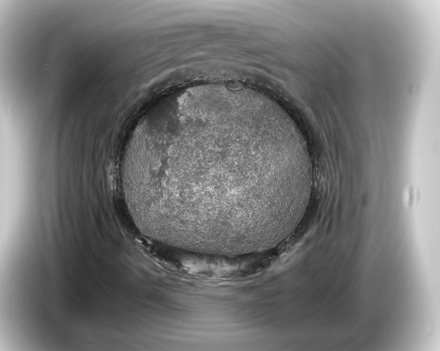 X0000084541490200703161617