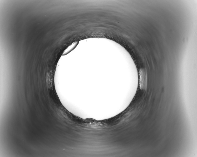 X0000084541491200703161617