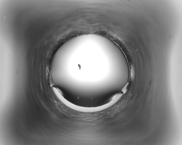 X0000084541492200703161617