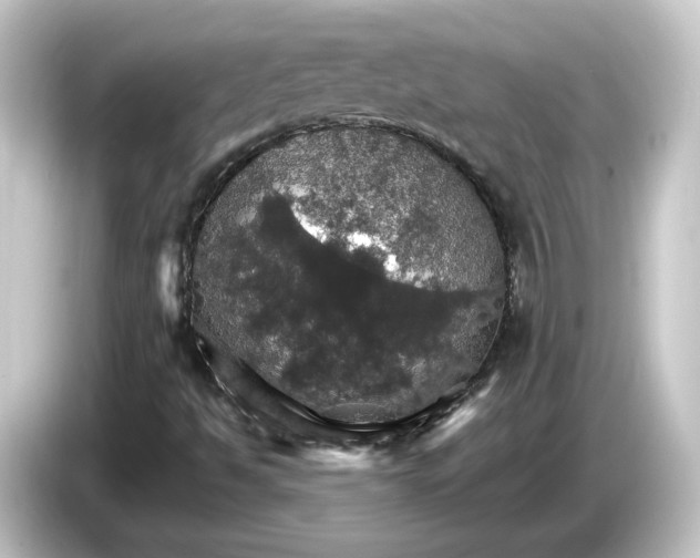 X0000084541494200703161617