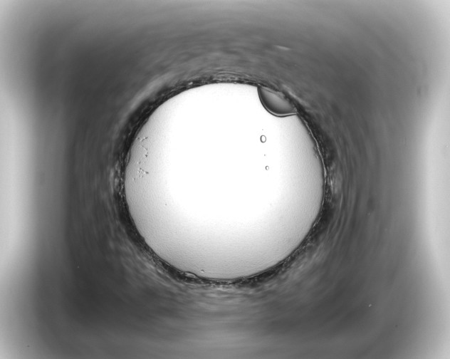 X0000084541495200703161617