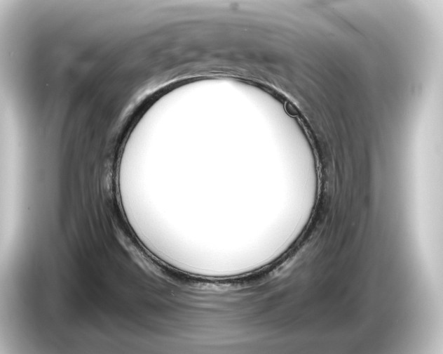 X0000084541499200703161617