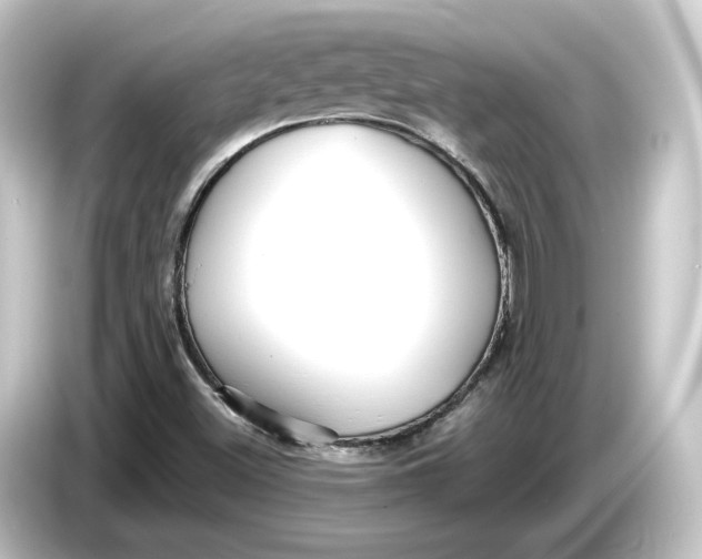 X0000084541500200703161617