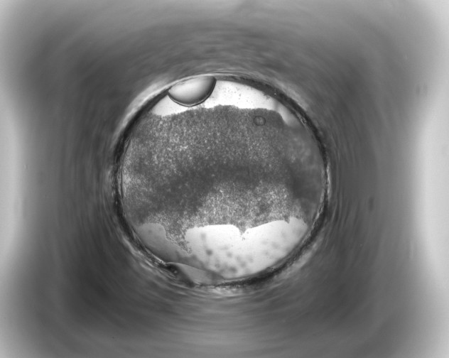 X0000084541501200703161617