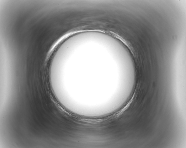 X0000084541502200703161617