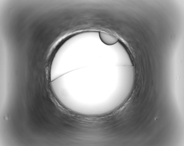 X0000084541503200703161617