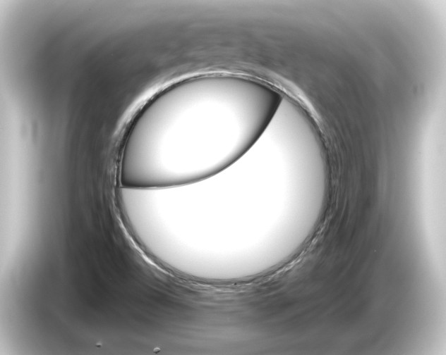 X0000084541504200703161617