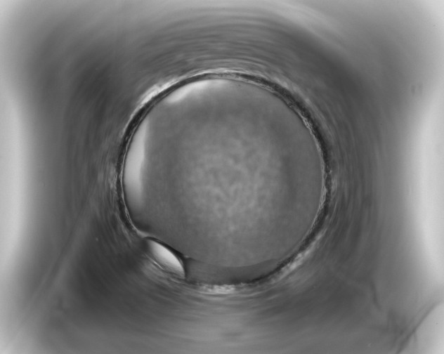 X0000084541505200703161617