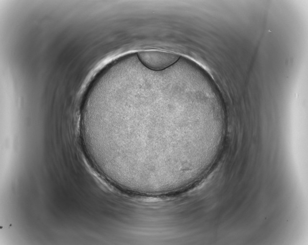 X0000084541507200703161617