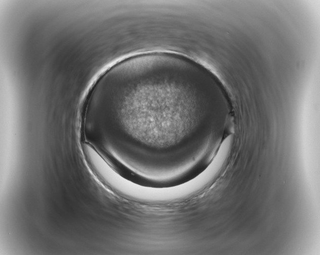 X0000084541508200703161617