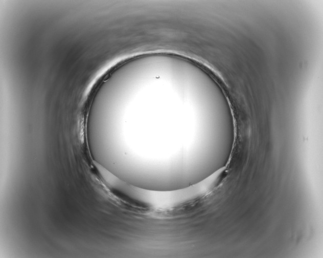 X0000084541510200703161618