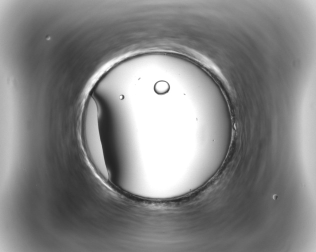 X0000084541512200703161618