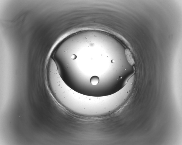 X0000084541514200703161618