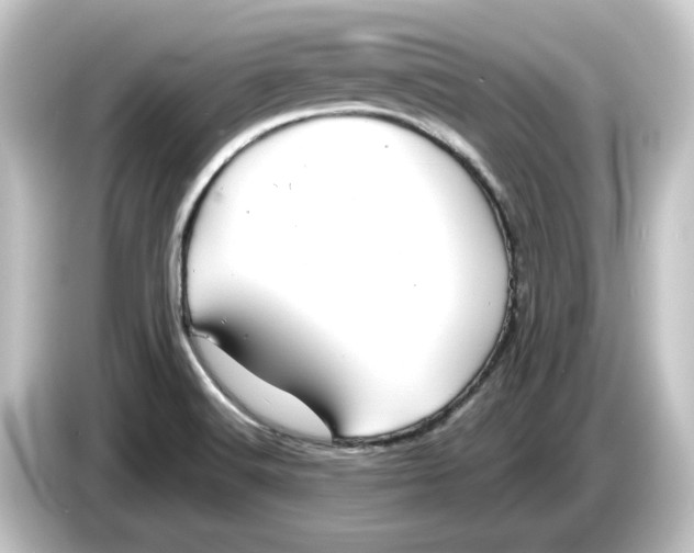 X0000084541516200703161618