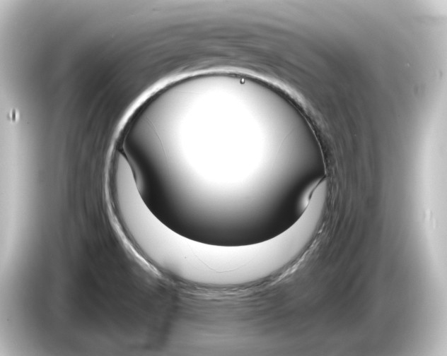 X0000084541518200703161618