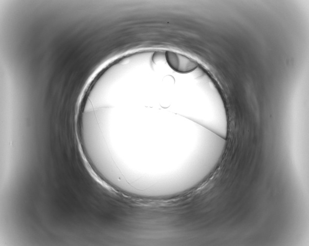 X0000084541519200703161618