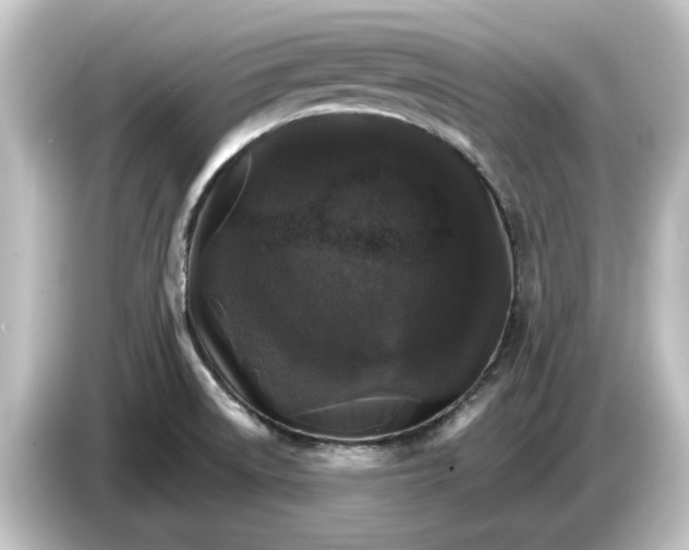 X0000084541522200703161618