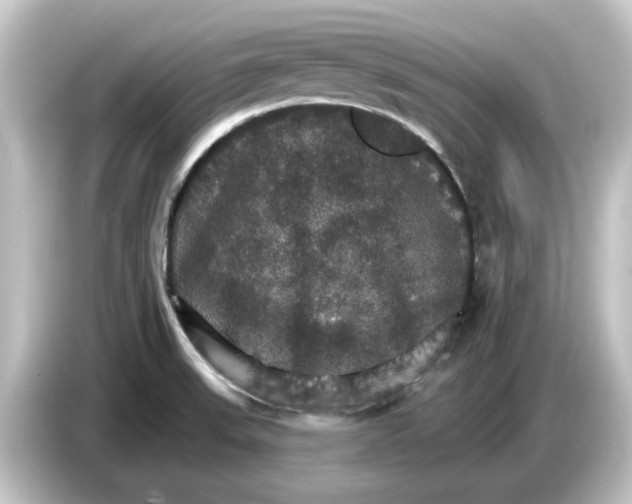 X0000084541523200703161618