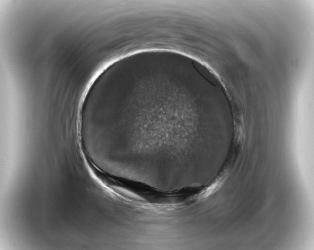 X0000084541527200703161618