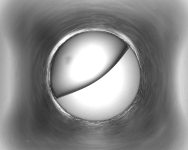 X0000084541528200703161618